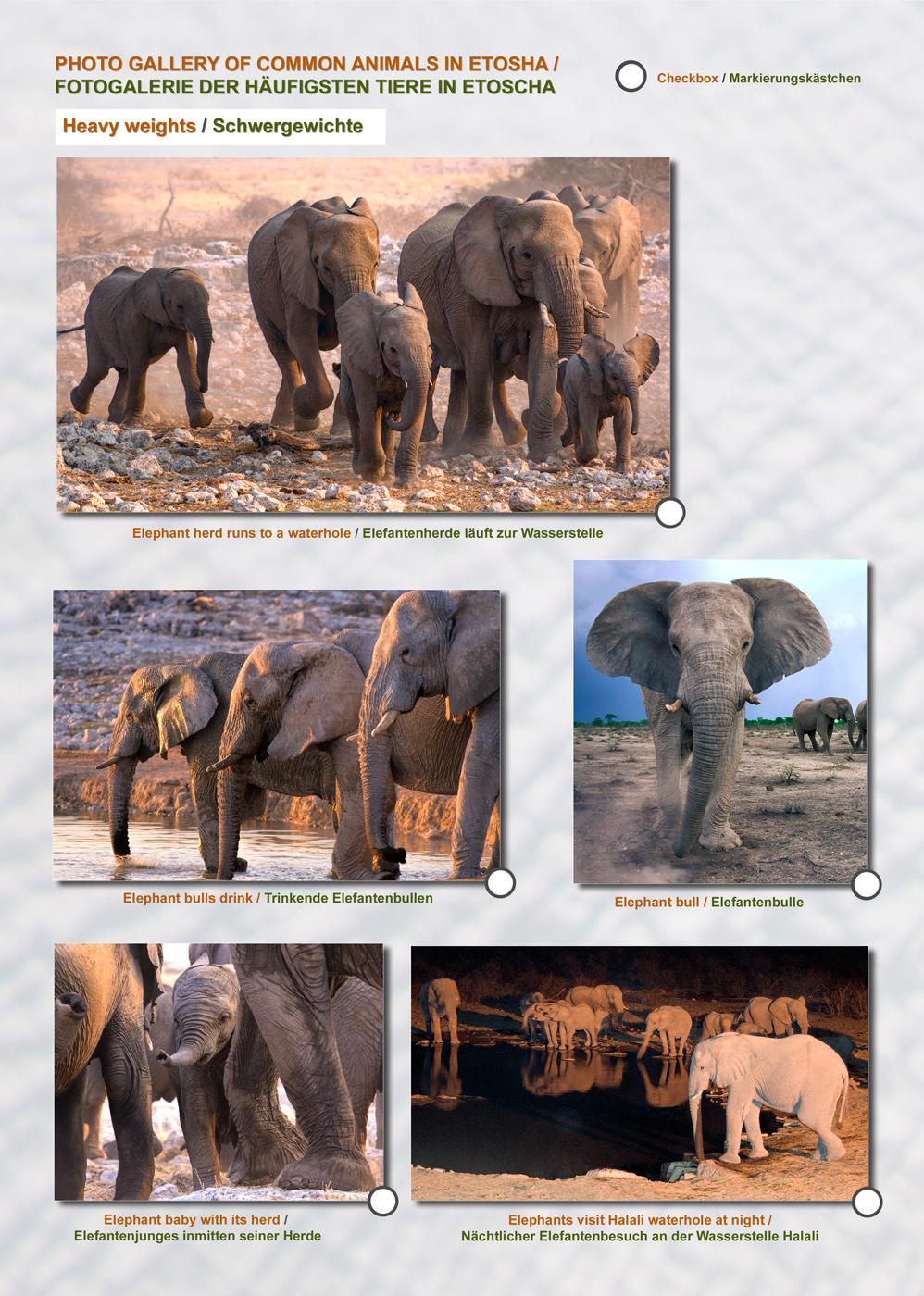 Das komplette Kartenset NAMIBIA (3-teilig)