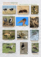 ETOSCHA KARTE (Etosha National Park, Namibia) mit Fotogalerie