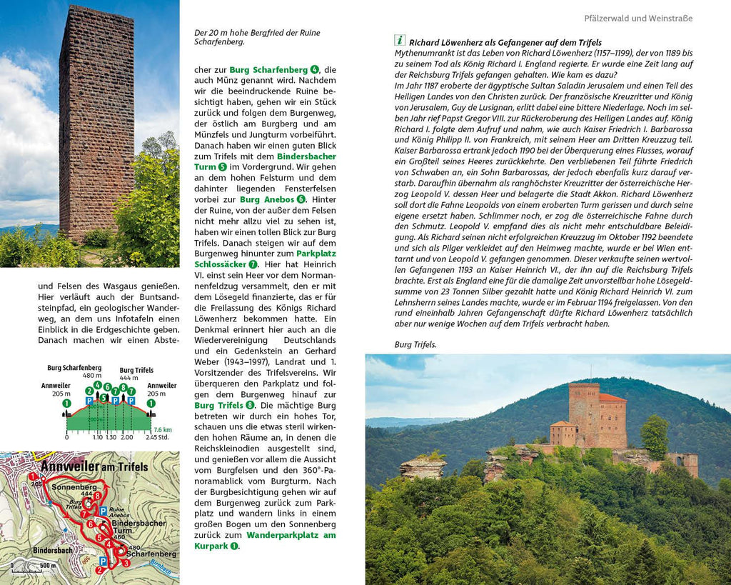 Premiumwege Pfälzerwald
