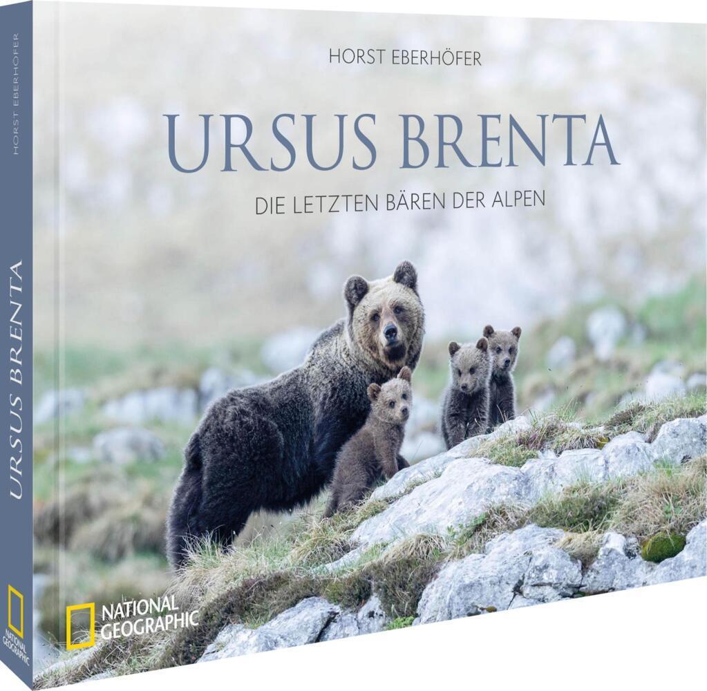 Ursus Brenta - Die Rückkehr der Bären in die Alpen