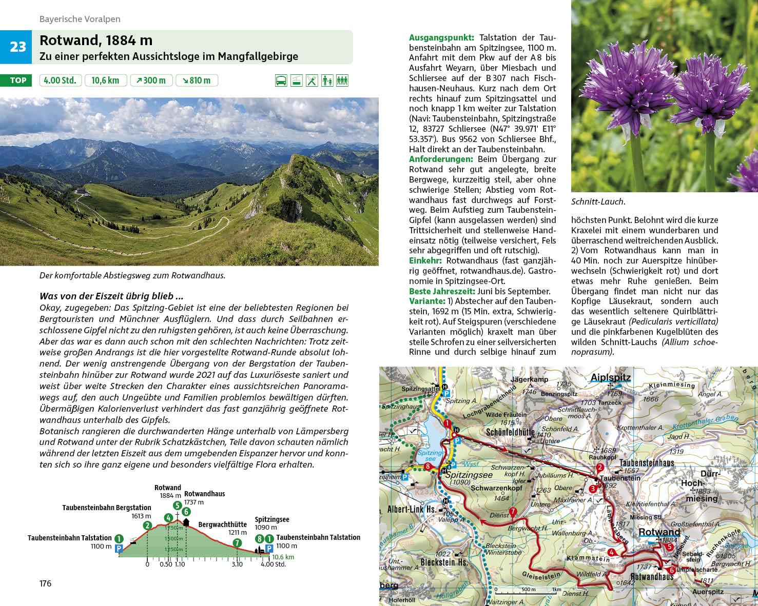 Blumenwanderungen Bayerische Alpen