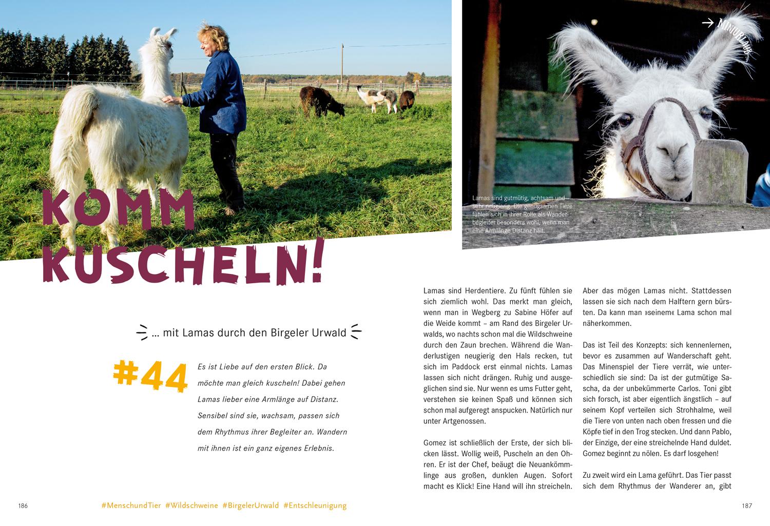 52 kleine & große Eskapaden am Niederrhein