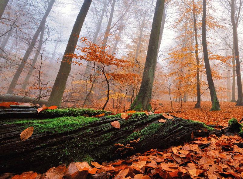Müritz-Nationalpark