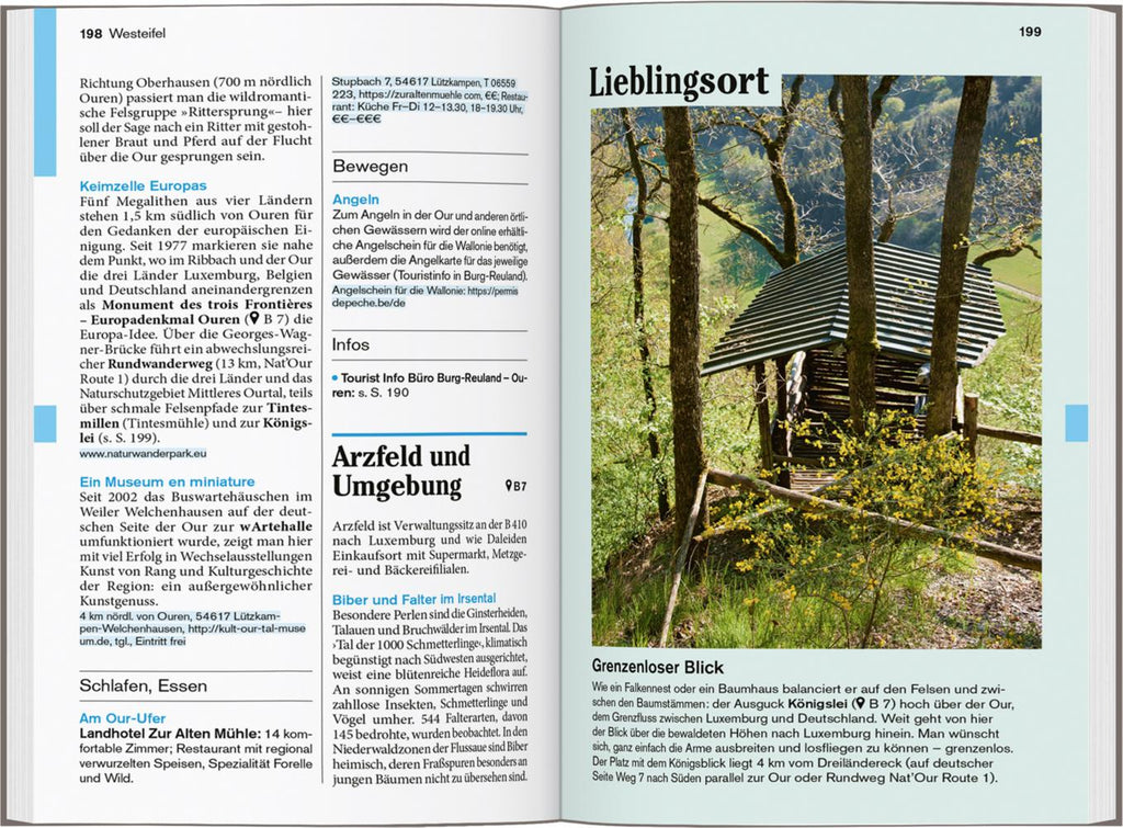 DUMONT Reise-Taschenbuch Reiseführer Eifel, Aachen, Trier
