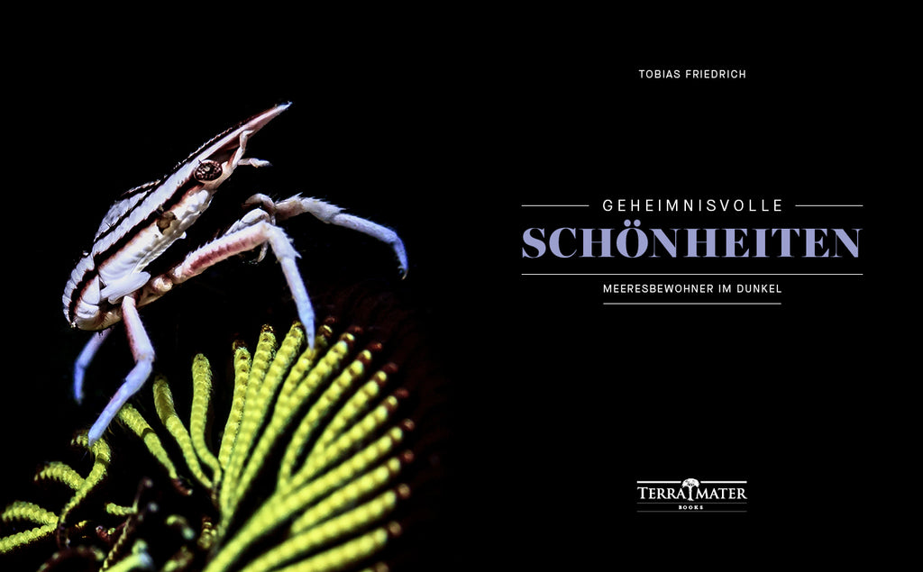 Geheimnisvolle Schönheiten