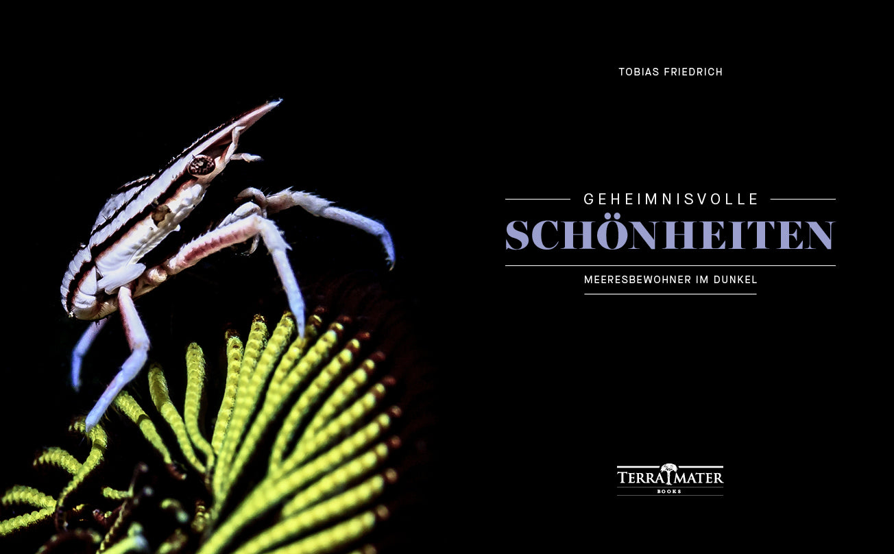 Geheimnisvolle Schönheiten