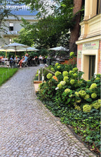 Stadtoasen in Berlin