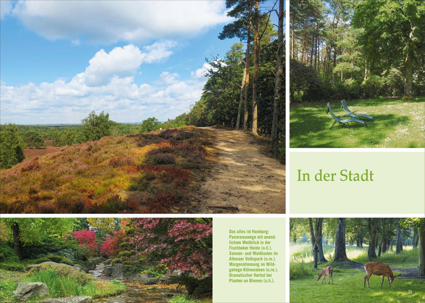 Waldpfade Hamburg
