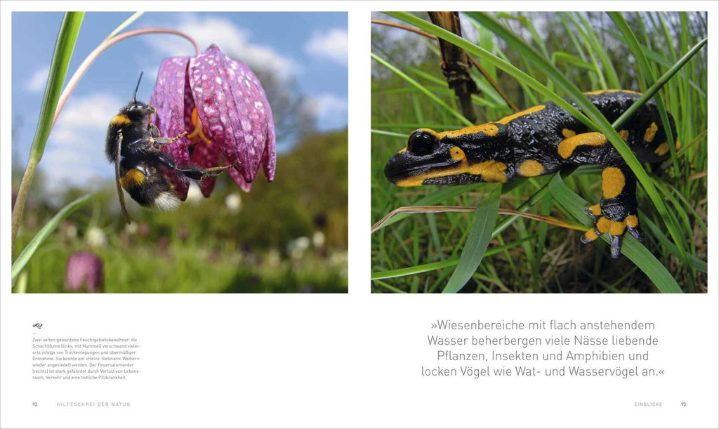 HILFESCHREI DER NATUR