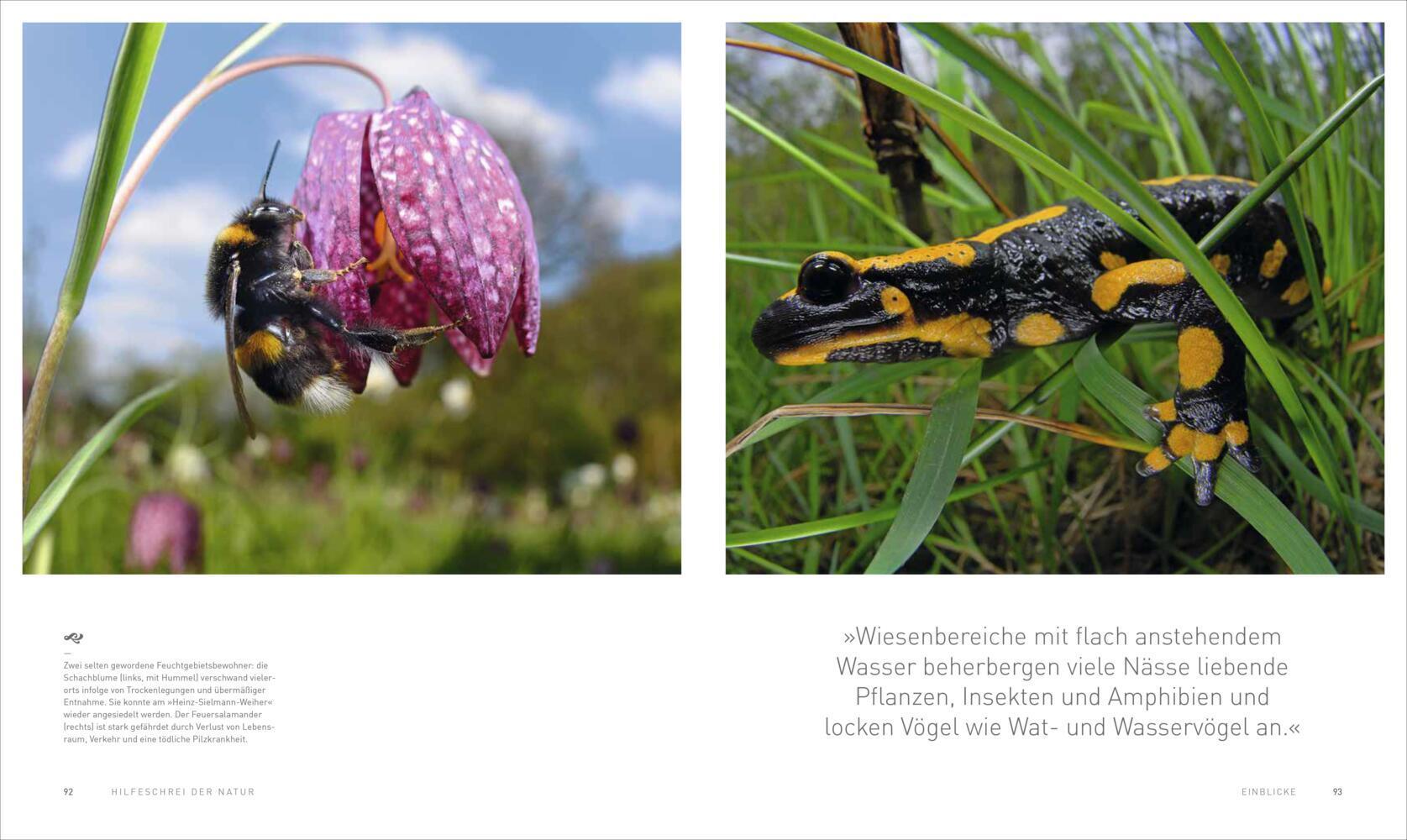 HILFESCHREI DER NATUR