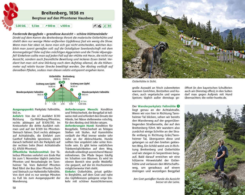 ROTHER Wanderbuch Wandern mit Hund Allgäu. mit Tannheimer Tal und Kleinwalsertal. 40 Vierbeiner-Touren