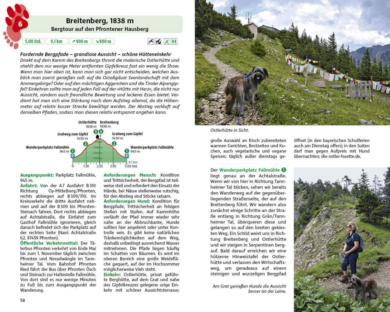 ROTHER Wanderbuch Wandern mit Hund Allgäu. mit Tannheimer Tal und Kleinwalsertal. 40 Vierbeiner-Touren