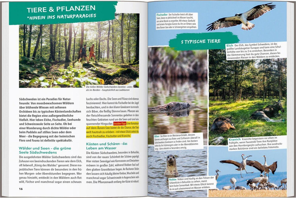 MARCO POLO OUTDOOR GUIDE Reiseführer Südschweden, Stockholm