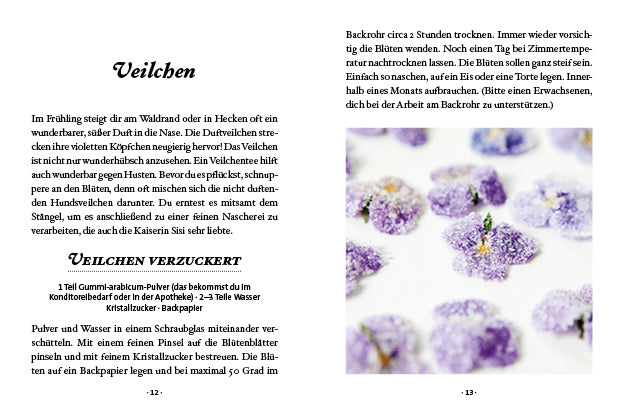 Das kleine Buch: Kräuterwanderung mit Kindern