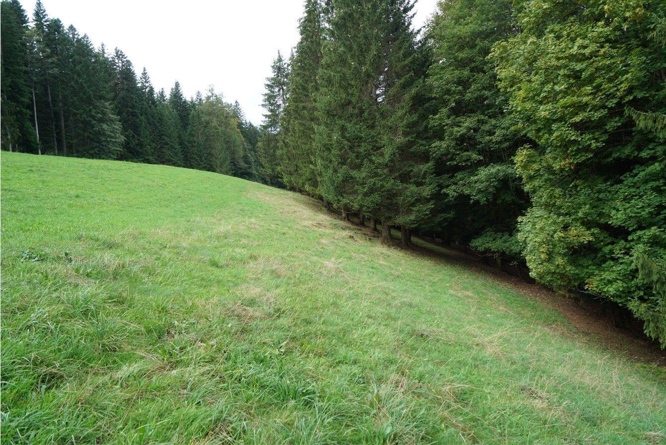Schweizer Industriekultur