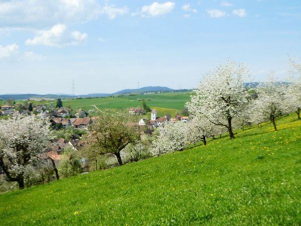 Jura