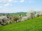 Jura