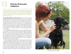 Berning, T: 99 x Wohnmobilurlaub mit Hund