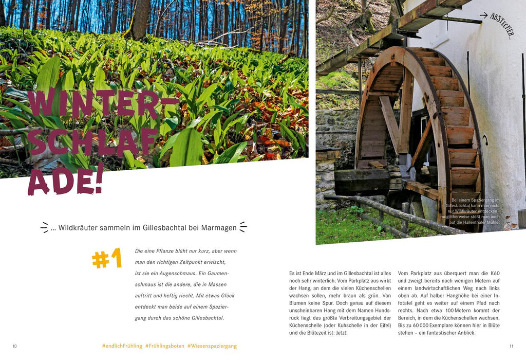 52 kleine & große Eskapaden in der Eifel