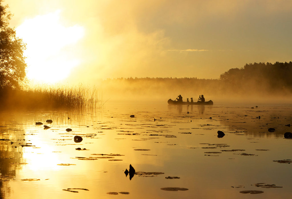 Die Mecklenburgische Seenplatte
