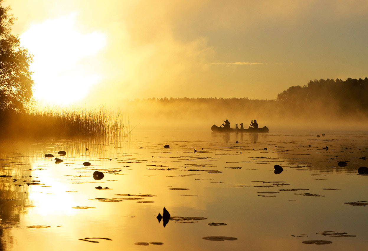 Die Mecklenburgische Seenplatte