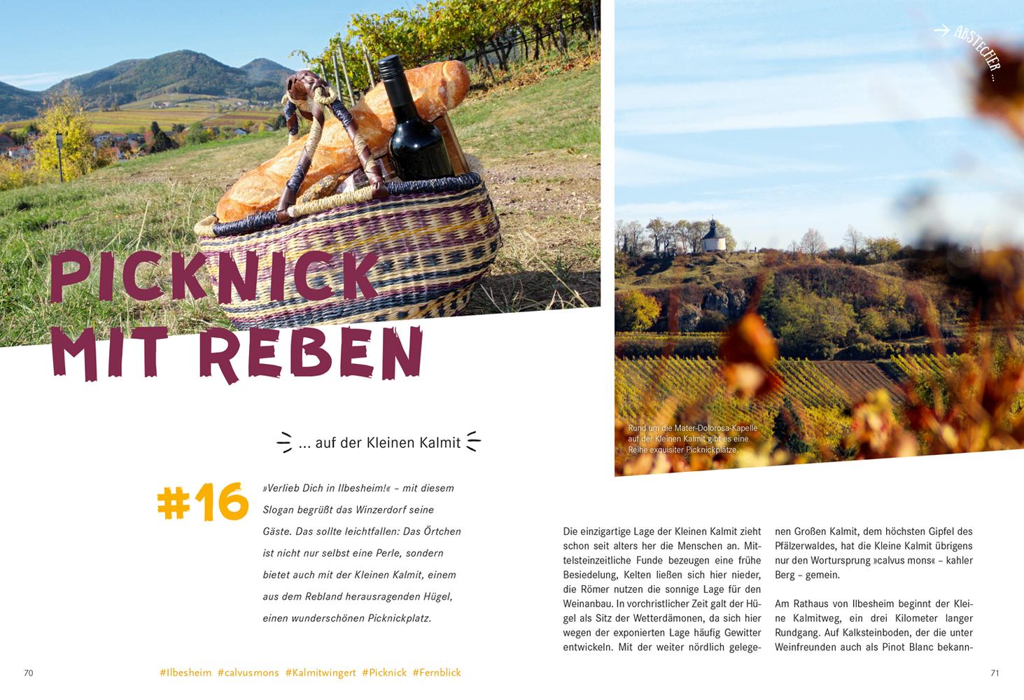 52 kleine & große Eskapaden in der Pfalz