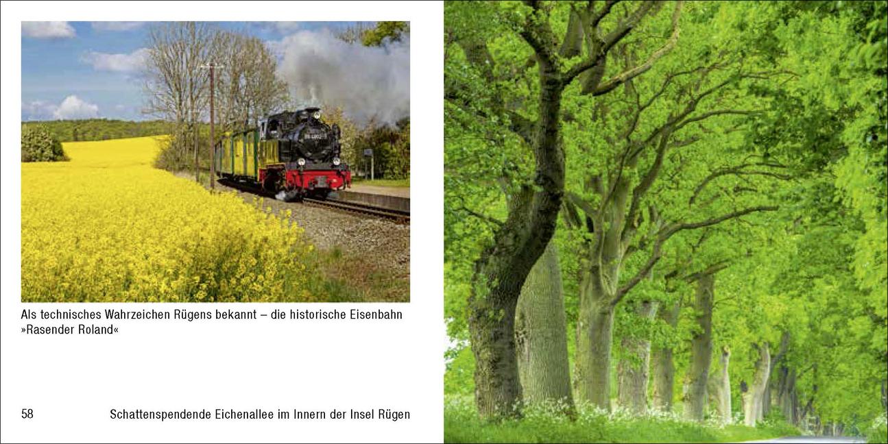 Mecklenburg-Vorpommern - Book To Go
