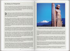 DUMONT Reise-Handbuch Reiseführer Chile mit Osterinsel