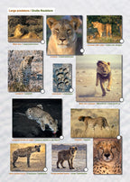 Das komplette Kartenset NAMIBIA (3-teilig)
