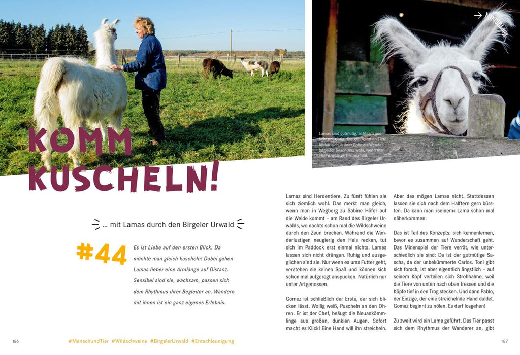 52 kleine & große Eskapaden am Niederrhein
