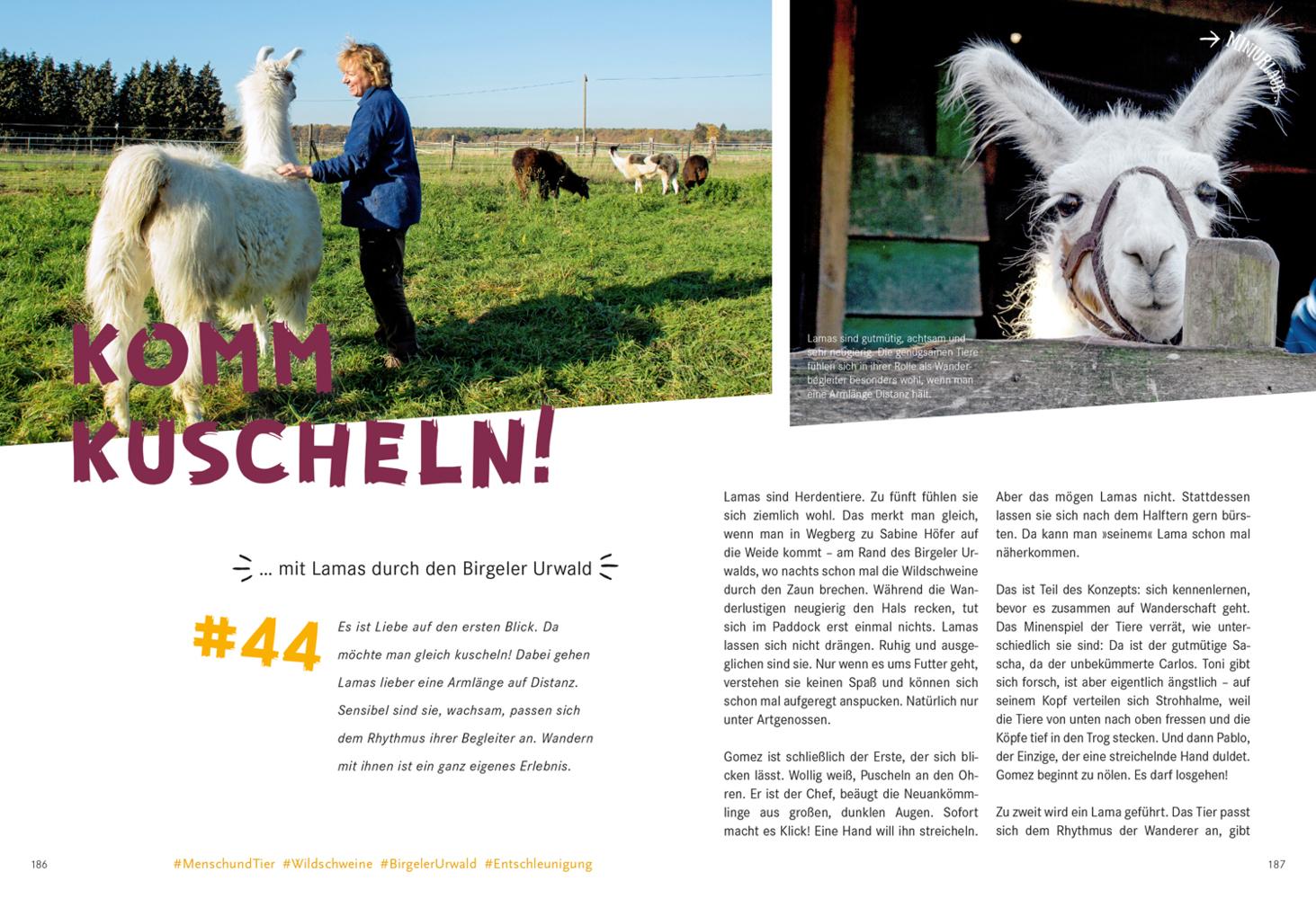 52 kleine & große Eskapaden am Niederrhein