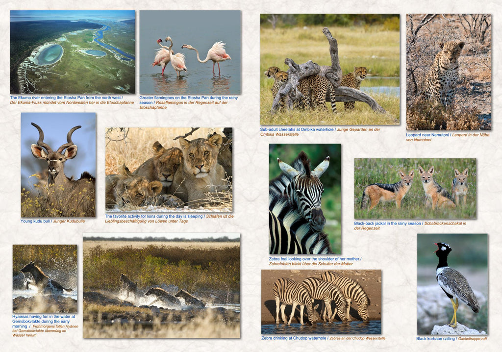 NAMIBIA