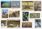 NAMIBIA
