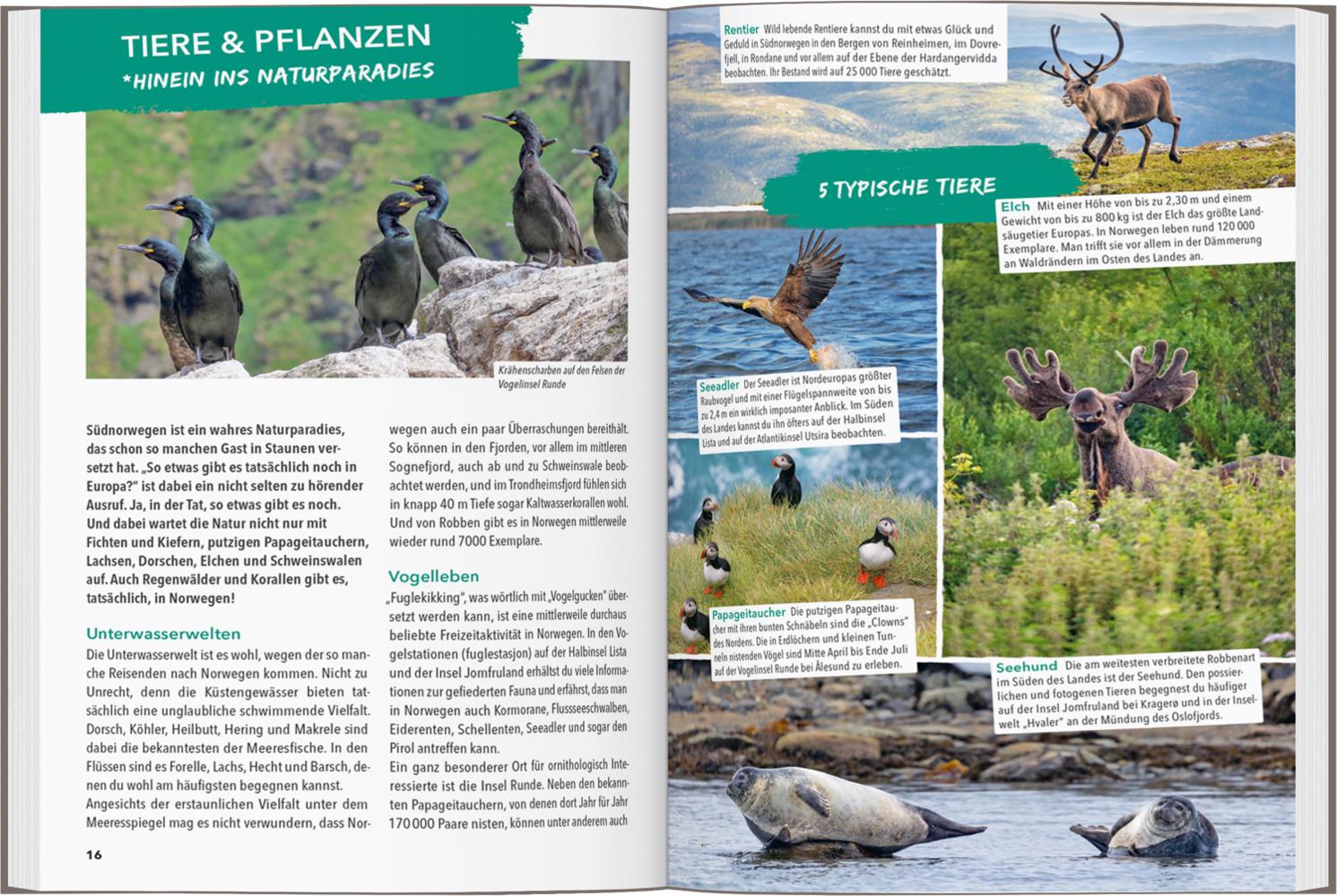 MARCO POLO OUTDOOR GUIDE Reiseführer Südnorwegen