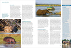 Das Reisebuch Afrikas Süden