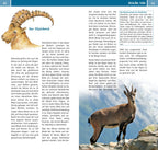Naturzeit mit Kindern: Allgäu