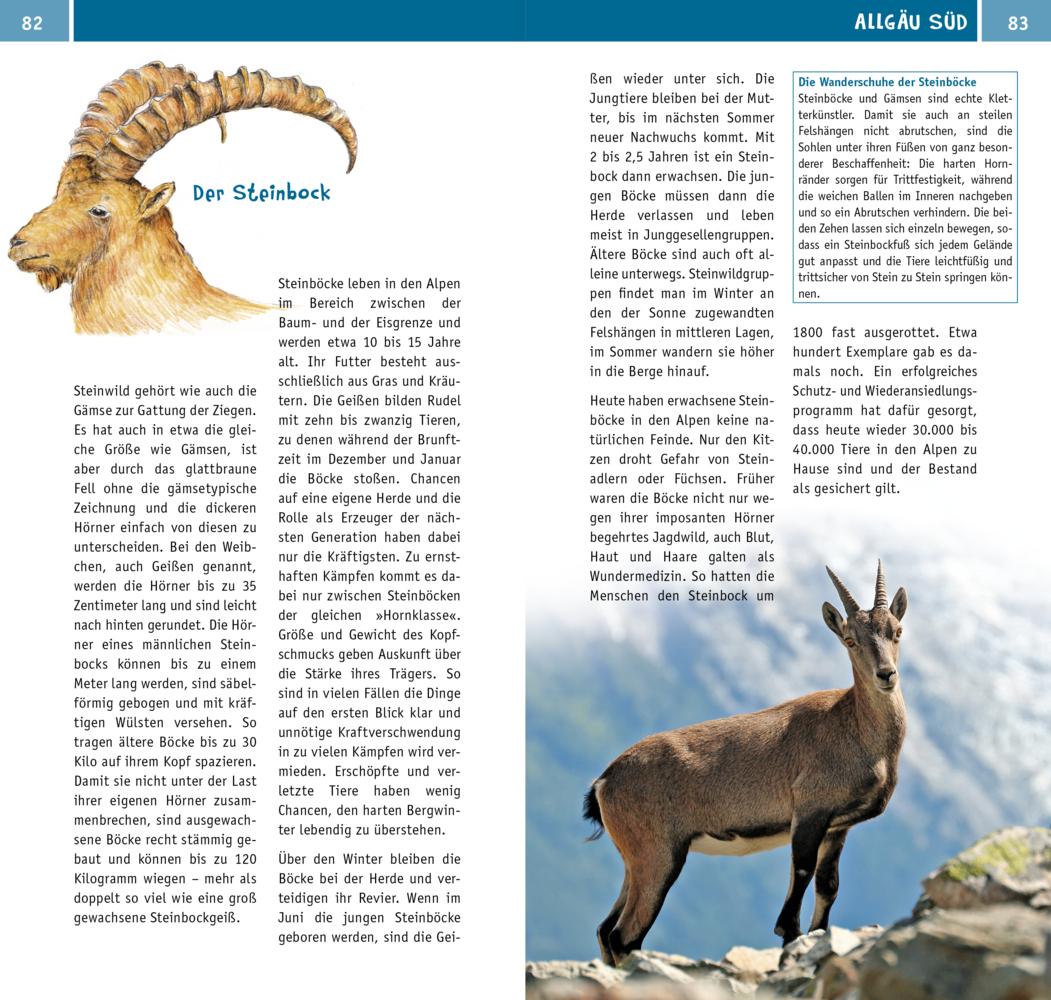 Naturzeit mit Kindern: Allgäu