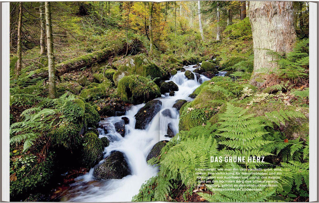 DUMONT Bildatlas Schwarzwald Süden