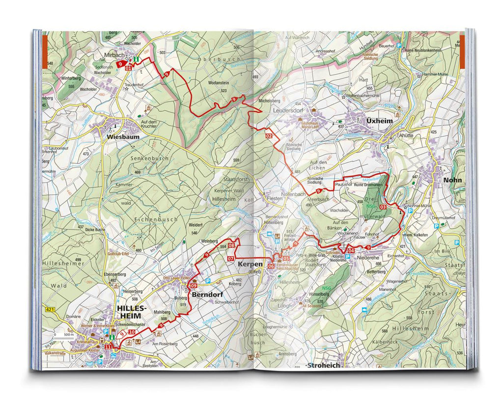 KOMPASS Wanderführer Eifelsteig, vom Dom zu Aachen zum Dom in Trier, 50 Touren mit Extra-Tourenkarte