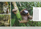KUNTH Unterwegs in Costa Rica
