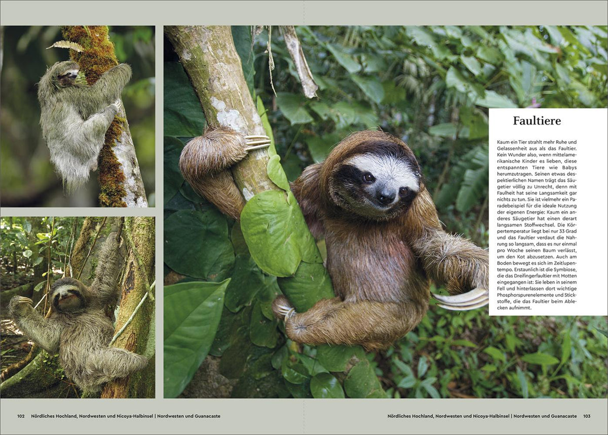 KUNTH Unterwegs in Costa Rica