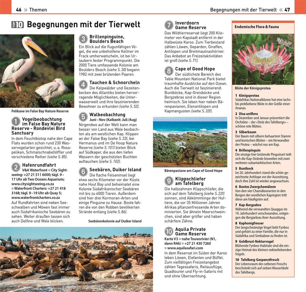 TOP10 Reiseführer Kapstadt