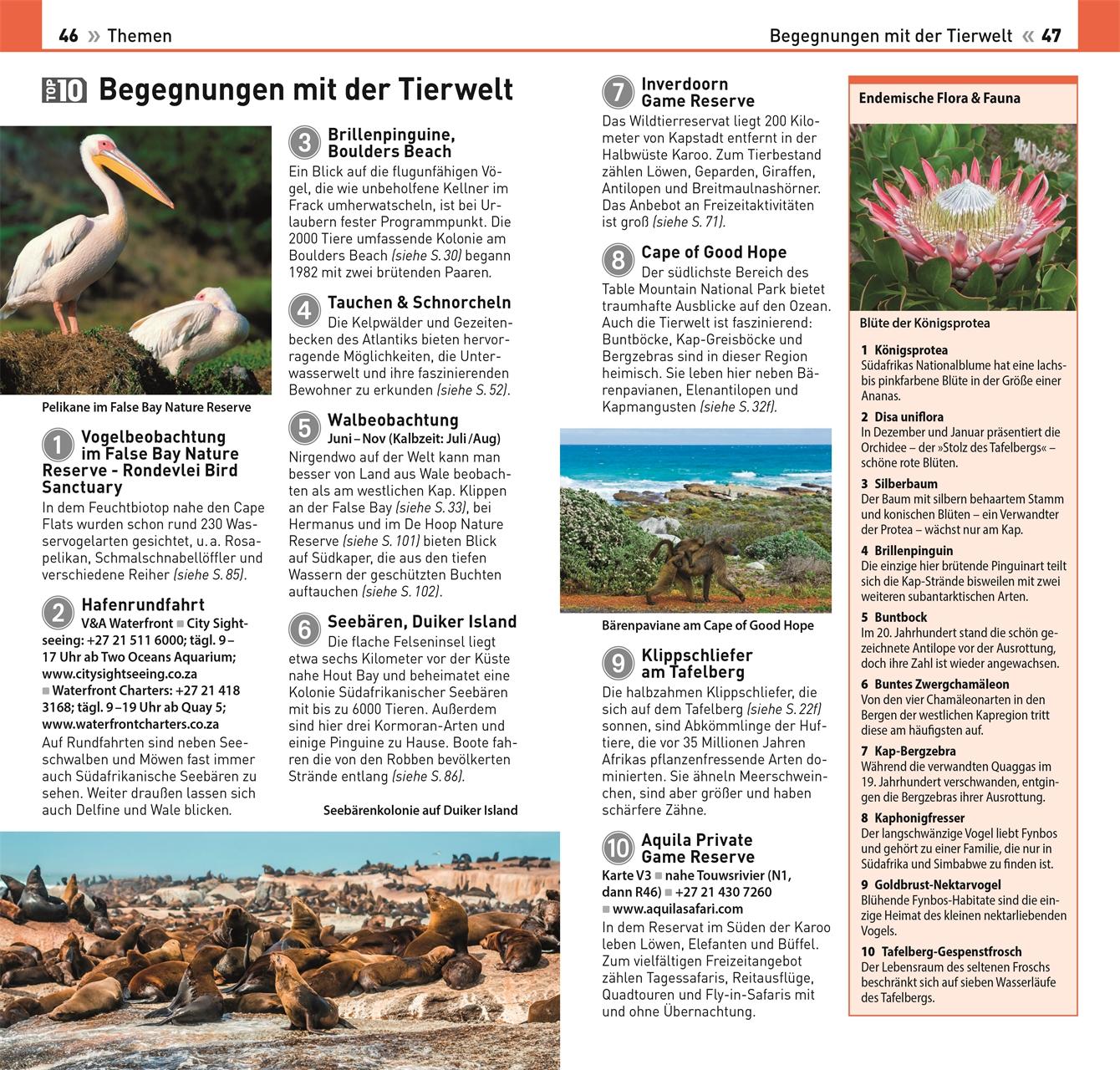 TOP10 Reiseführer Kapstadt