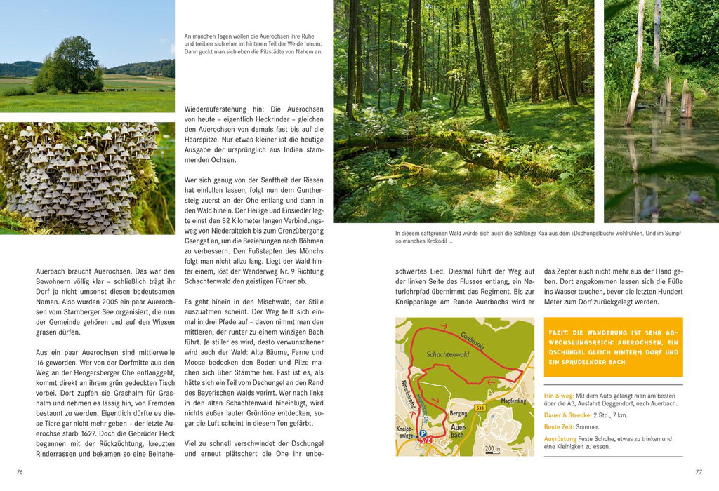 52 kleine & große Eskapaden im Bayerischen Wald