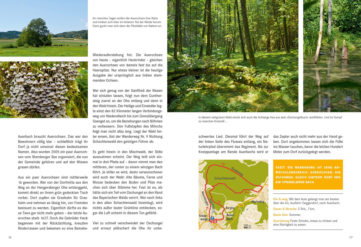 52 kleine & große Eskapaden im Bayerischen Wald
