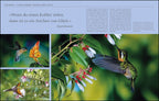 KUNTH Costa Rica. Das Buch