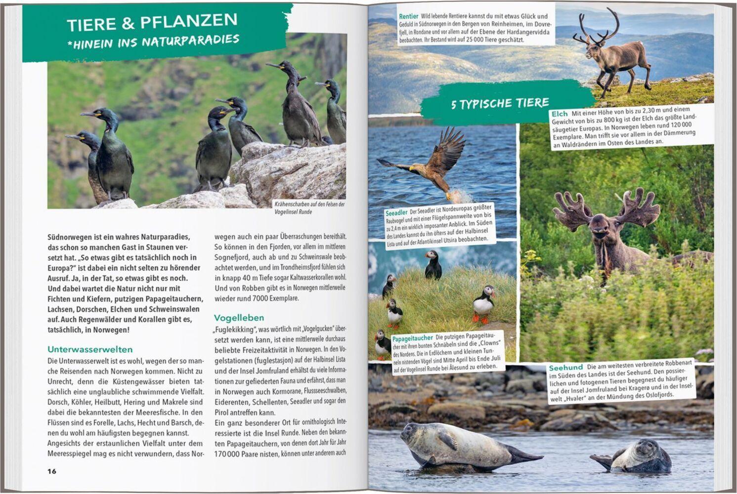 MARCO POLO OUTDOOR GUIDE Reiseführer Südnorwegen