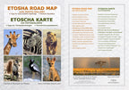 Das komplette Kartenset NAMIBIA Plus (4-teilig)