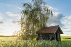 Bikepacking Trans Germany