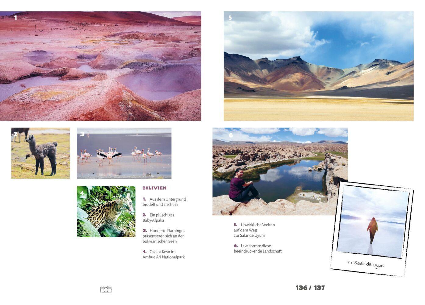 Midlife Reise